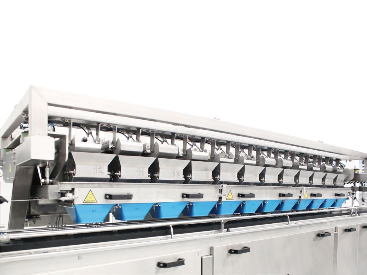 pakowanie borówki, maszyna pakująca borówkę amerykańską, borowka amerykanska pakowanie, pomidorki koktajlowe pakowanie